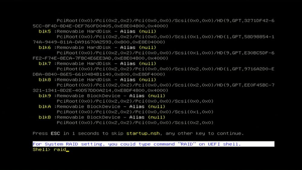 HPE Microserver Gen 10 EFI Shell